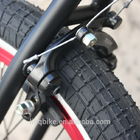Fahrräder der Eingangsstufe-BMX Freestyel, der Trick der Männer fährt hohe Haltbarkeit rad