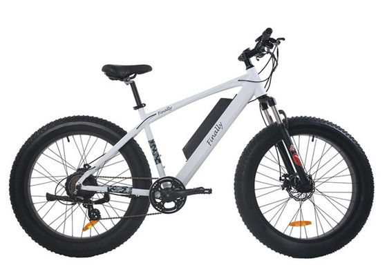 elektrischer fetter Fahrrad-intelligenter Prüfer-mechanische Scheibenbremsen der Vorlagen-48V
