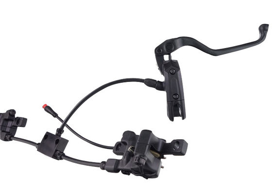 Kundengebundenes elektrisches Fahrrad erspart kurzem Blatt-Entwurf für elektrisches Dreirad