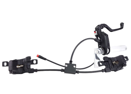 Kundengebundenes elektrisches Fahrrad erspart kurzem Blatt-Entwurf für elektrisches Dreirad